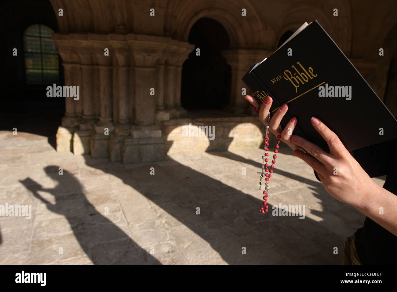 La lecture de la Bible dans l'église de l'abbaye de Fontenay, Marmagne, Bourgogne, France, Europe Banque D'Images