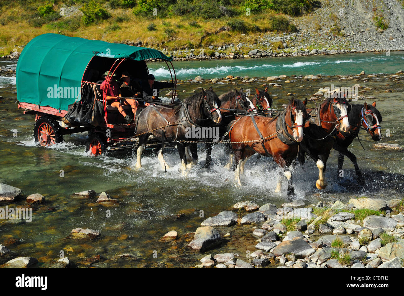 Les gens de cheval et une charrette, Ahuriri River, South Island, New Zealand Banque D'Images