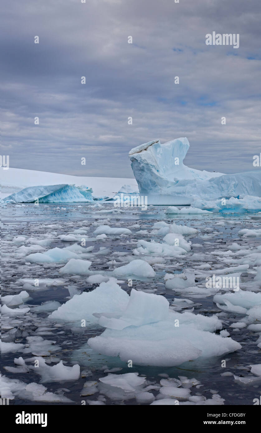 Les icebergs dans le Canal Lemaire/Pleneau Island, Antarctic Peninsula Banque D'Images