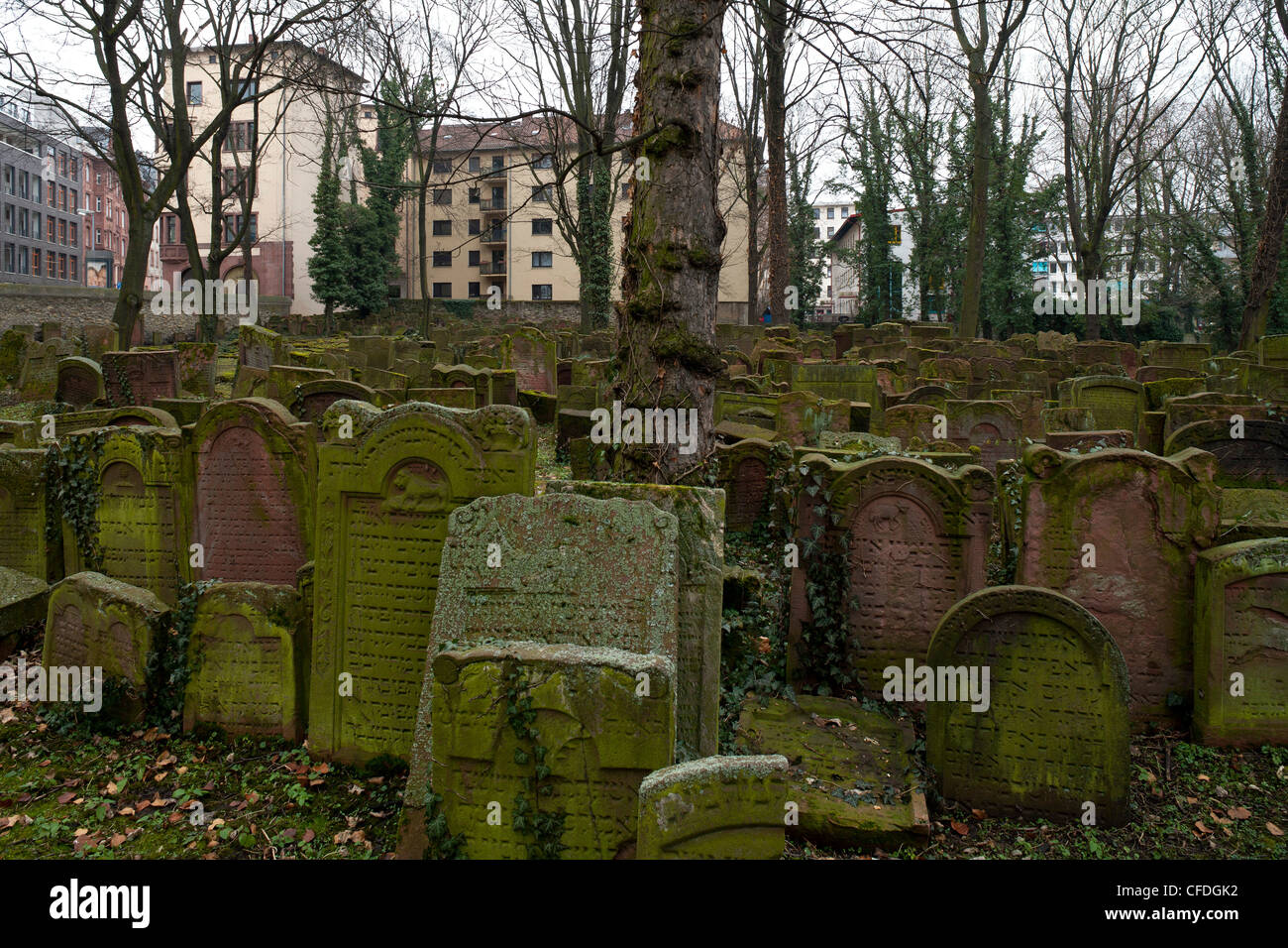 Battonnstrasse cimetière juif, c'est le plus ancien cimetière juif de Frankfurt, Frankfurt am Main, Hesse, Germany, Europe Banque D'Images