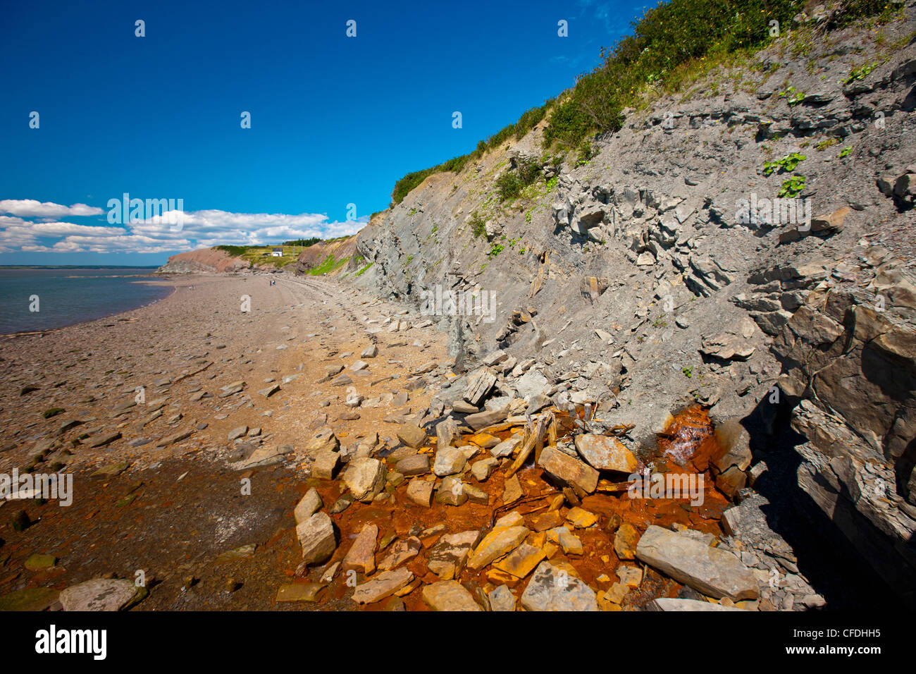 Falaises fossilifères de Joggins, baie de Fundy, en Nouvelle-Écosse, Canada Banque D'Images