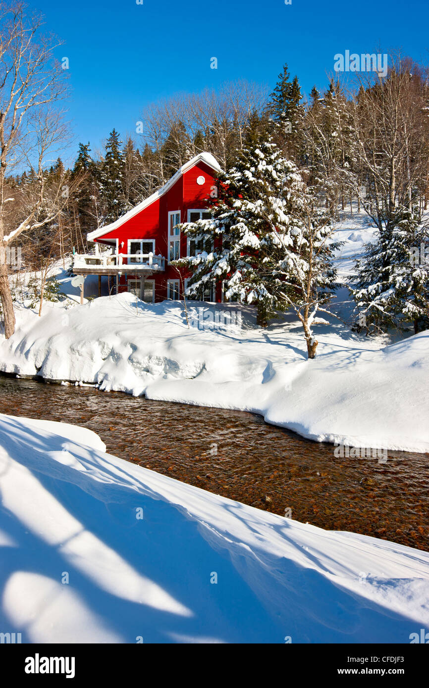 Couverte de neige, folley River, Wentworth Valley, Nova Scotia, Canada Banque D'Images