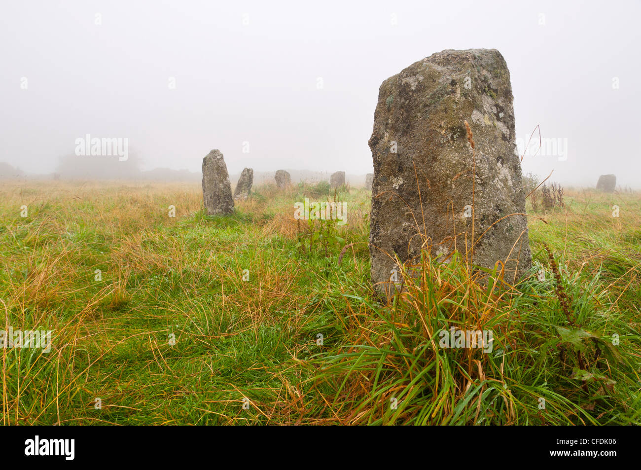 Merry Maidens stone circle, Cornwall, Angleterre, Royaume-Uni, Europe Banque D'Images Merry Maidens stone circle, Cornwall, Angleterre, Royaume-Uni, Europe Banque D'Images