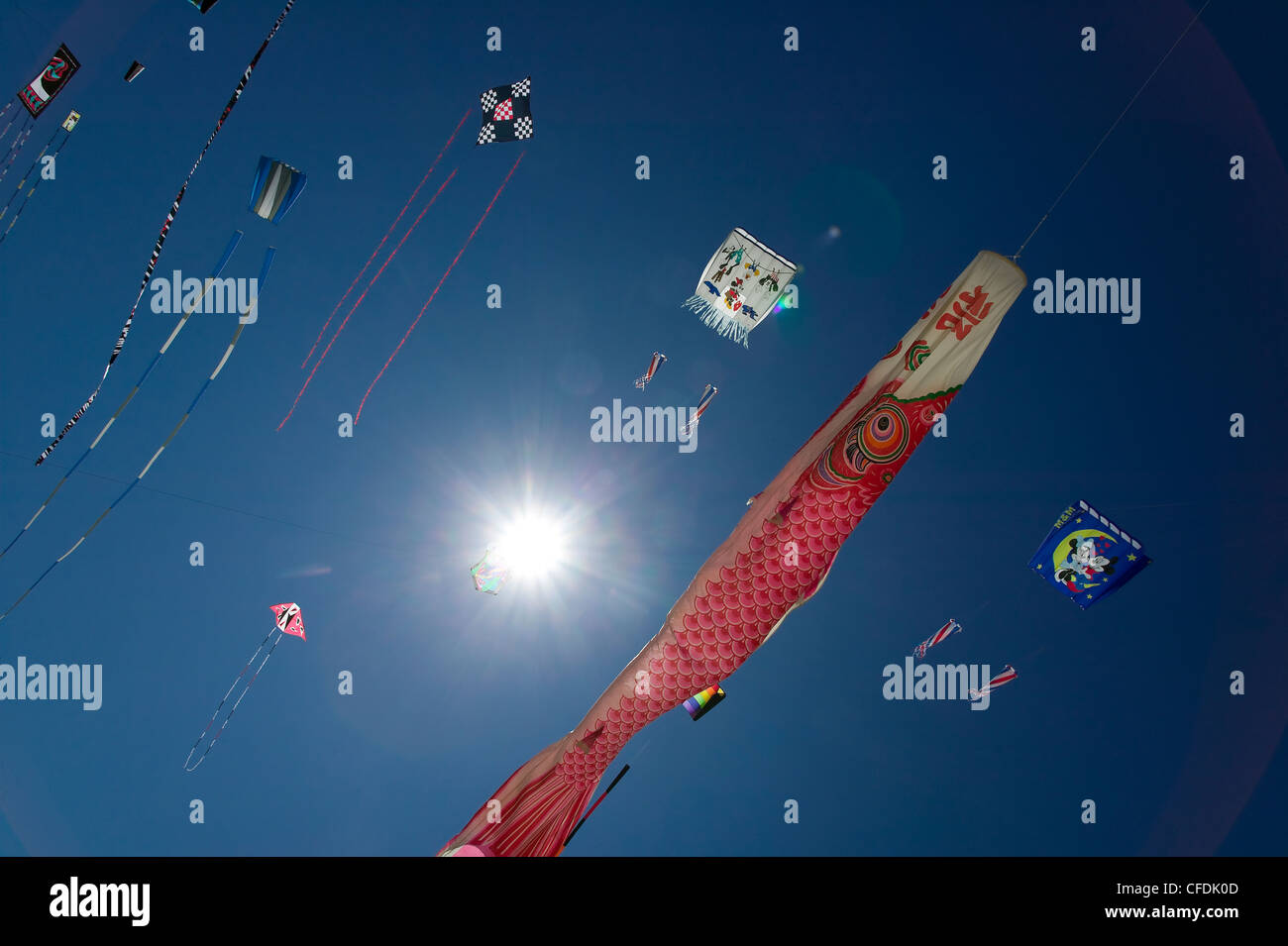 Variétés infinies kites International vent levage Banque D'Images