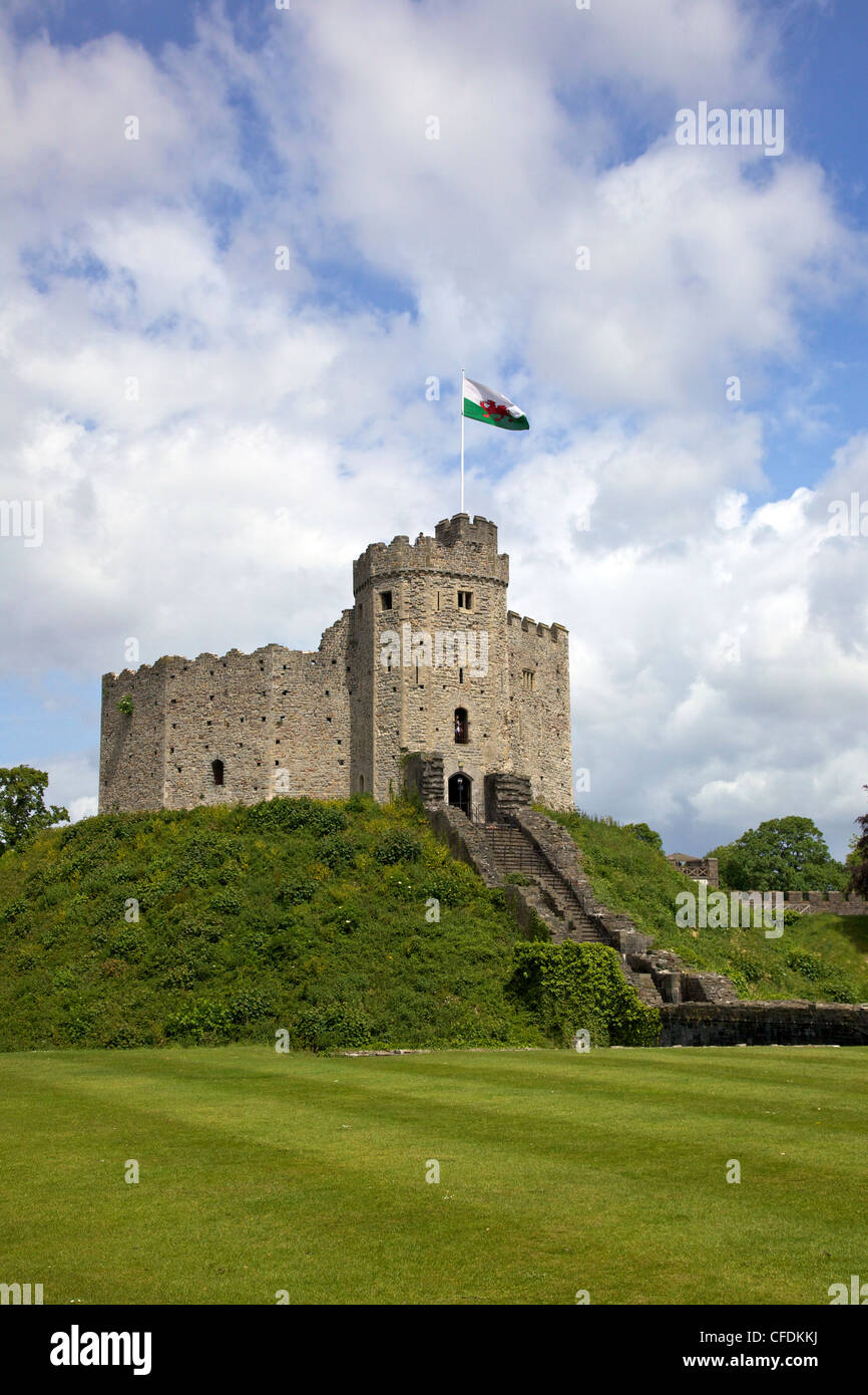 Drapeau national du pays de Galles battant,le donjon normand, le château de Cardiff, Cardiff, South Glamorgan, Pays de Galles, Pays de Galles, Royaume-Uni Banque D'Images