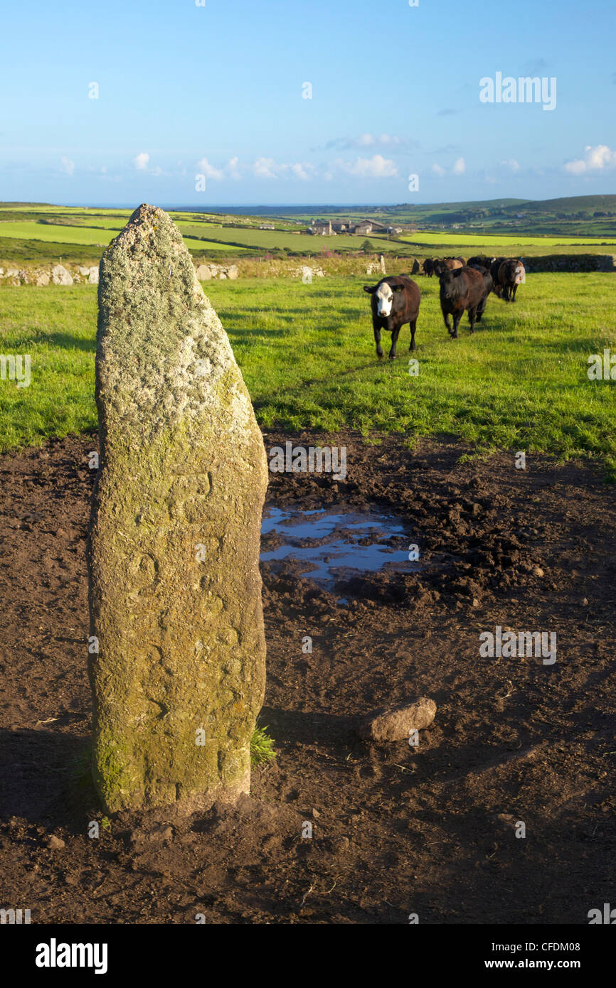 Les hommes de pied Scryfa avec inscription, Madron, Lands End, Cornwall, England, UK Banque D'Images