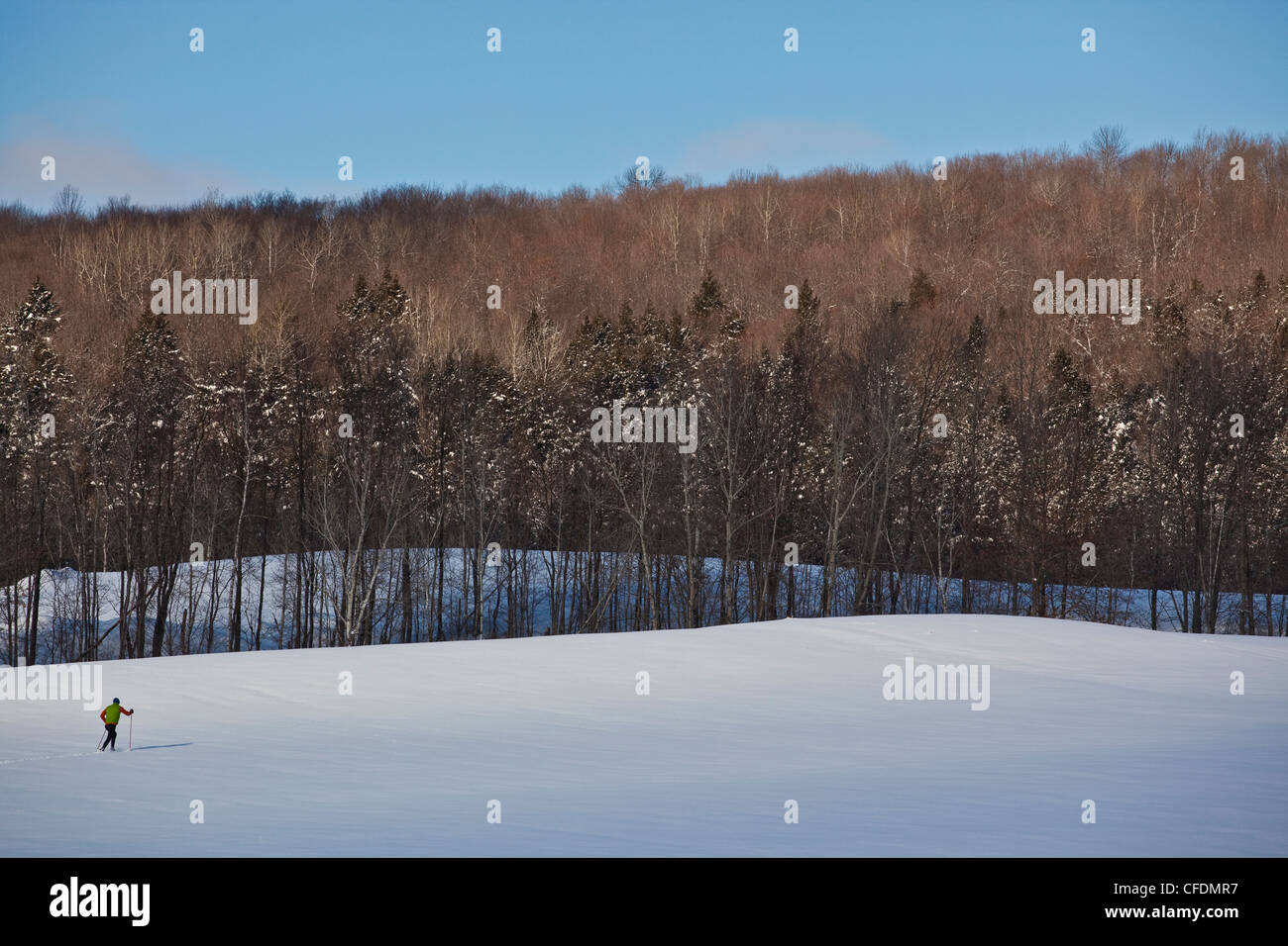 Un jeune homme le ski de fond dans un champ ouvert à Sherbrooke, Québec, Canada Banque D'Images