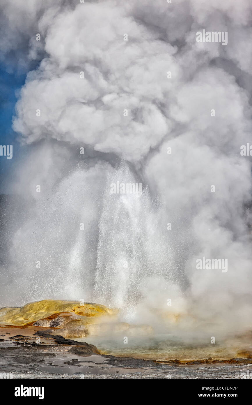 Clepsydre geyser in Yellowstone National Park Banque D'Images