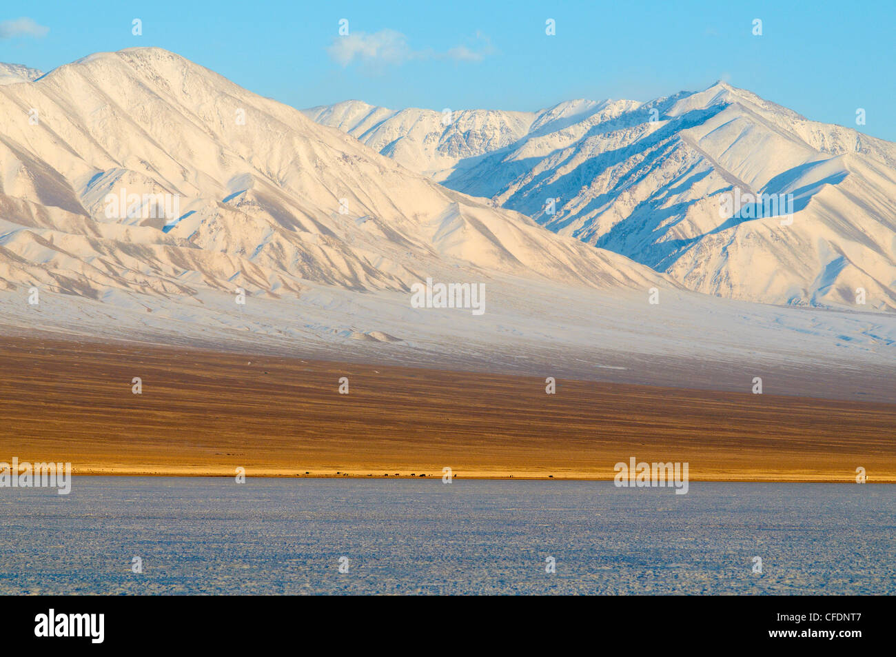 Paysage d'hiver dans la Biosphère avec des montagnes enneigées, le lac Khar Us Nuur, province de Khovd, la Mongolie, l'Asie centrale Banque D'Images