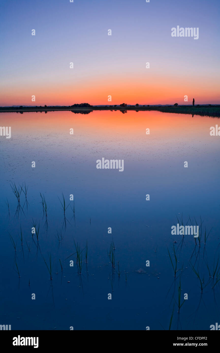Le lac de Neusiedl, Fertoe au coucher du soleil, Parc National, Burgenland, Autriche, Europe Banque D'Images