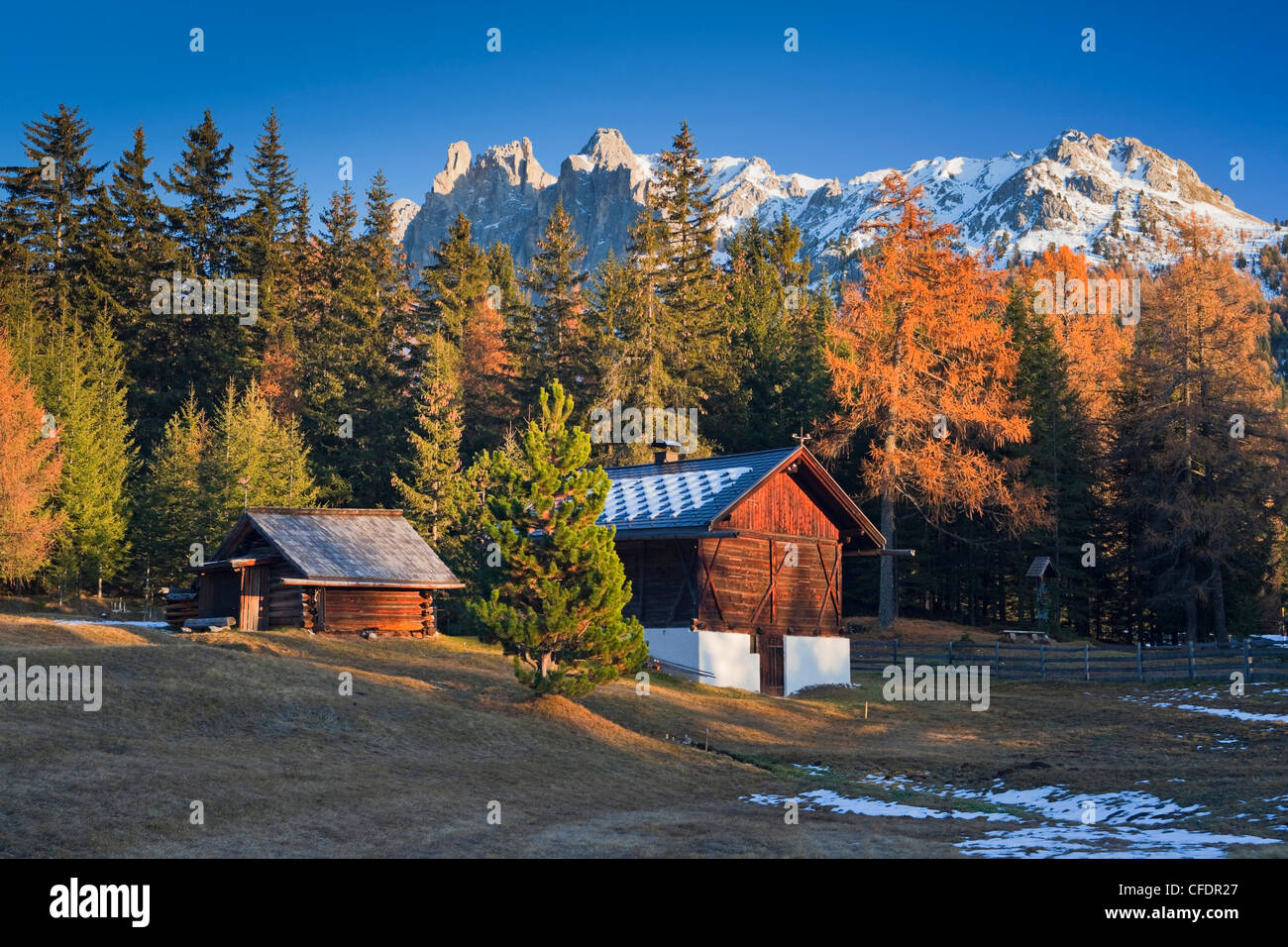 Abris à l'Wurzjoch, arbres, Automne, couleurs, Dolomites Tyrol du Sud, Italie Banque D'Images