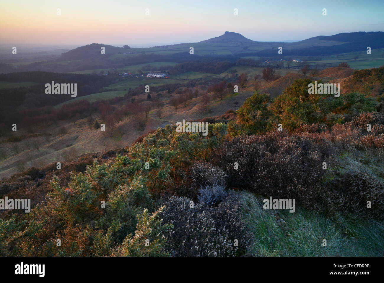 Un soir de printemps sur Gribdale Gate, North Yorkshire Moors, Yorkshire du Nord, Yorkshire, Angleterre, Royaume-Uni Banque D'Images