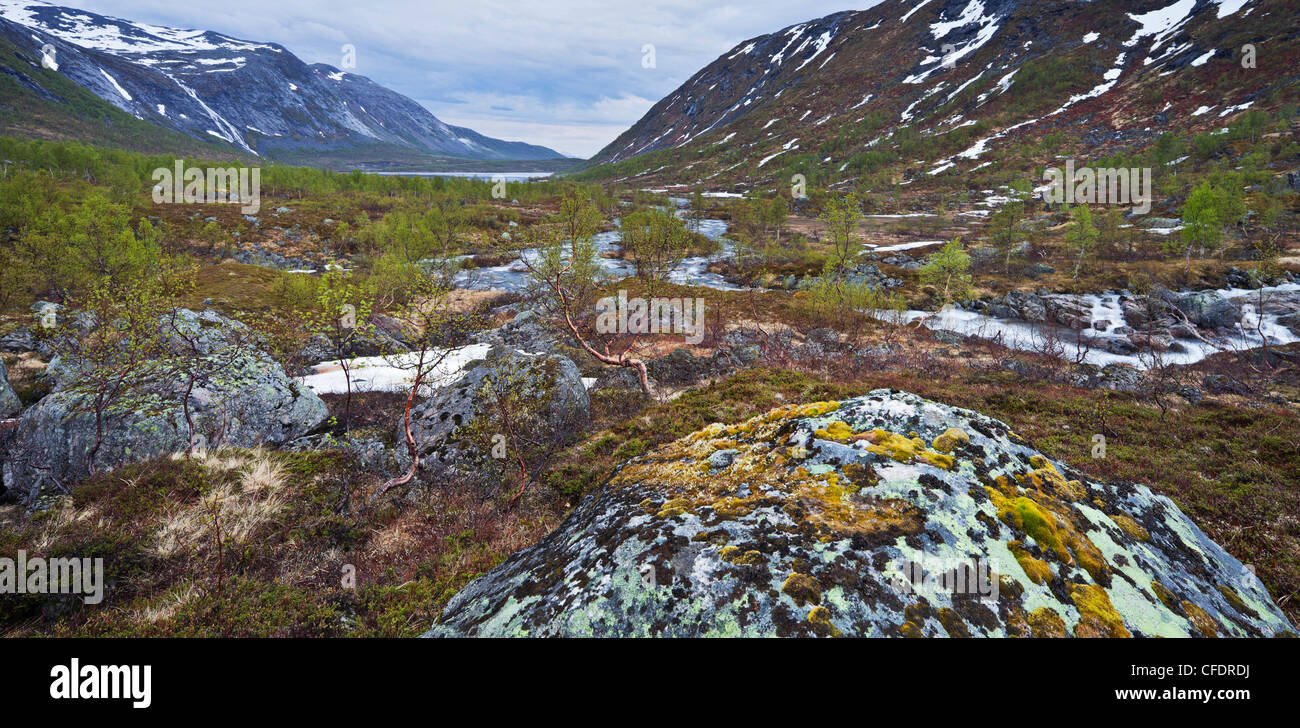 Paysage de montagne avec une végétation clairsemée à Kaperdalen, Erstfjord, l'île de Senja, Troms, Norvège Banque D'Images