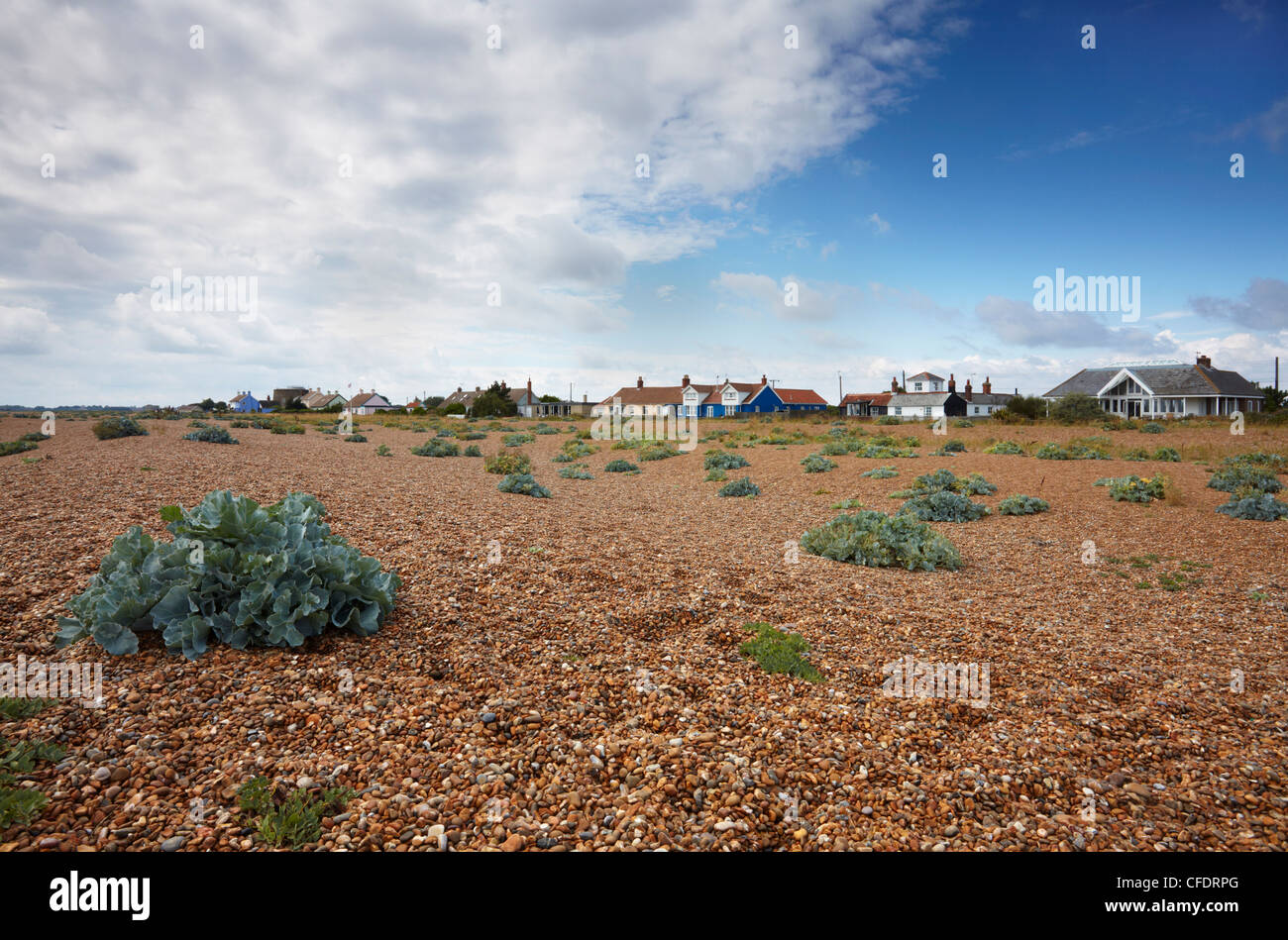 Une journée d'été à Shingle Street, Suffolk, Angleterre, Royaume-Uni, Europe Banque D'Images