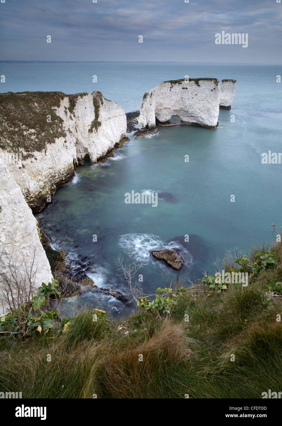 Les belles falaises et mer des piles de roches Old Harry, Jurassic Coast, UNESCO World Heritage Site, Dorset, England, UK Banque D'Images