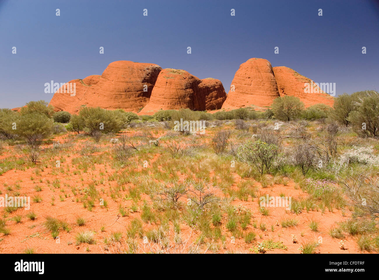Kata Tjuta, les Olgas, Monolithes de grès dur, près de l'Uluru (Ayers Rock), Northern Territory, Australia Banque D'Images