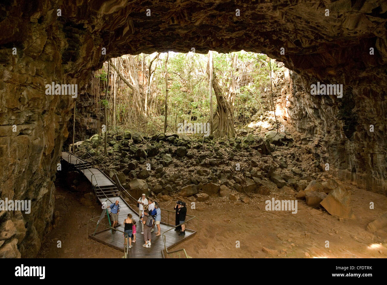 Grotte d'Archway, le segment des très grands grotte de lave, lave de Undara National Park, Queensland, Australie, Pacifique Banque D'Images