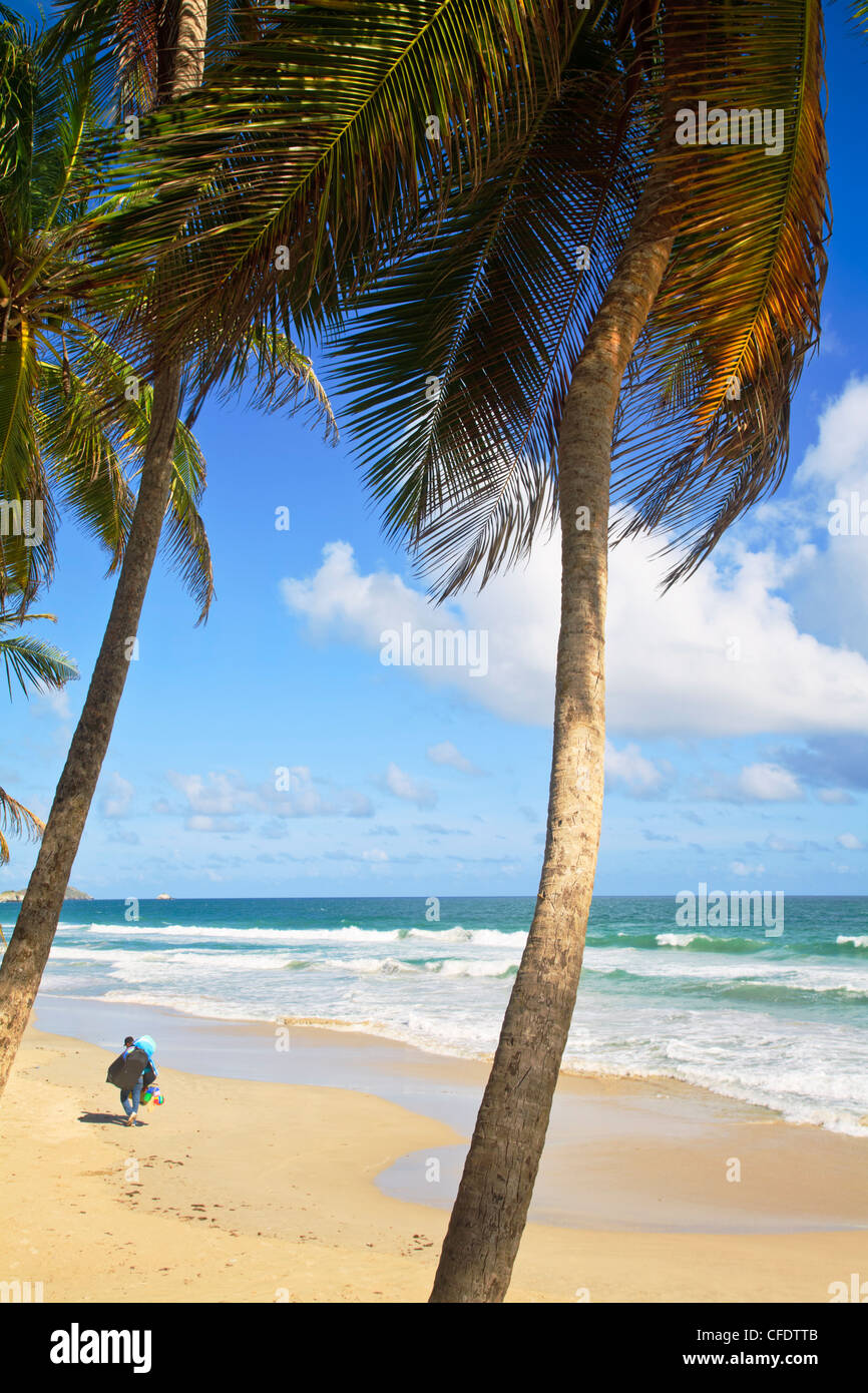 Playa el Agua, Isla de Margarita (île de Margarita), Nueva esparta Venezuela Amerique du Sud Banque D'Images