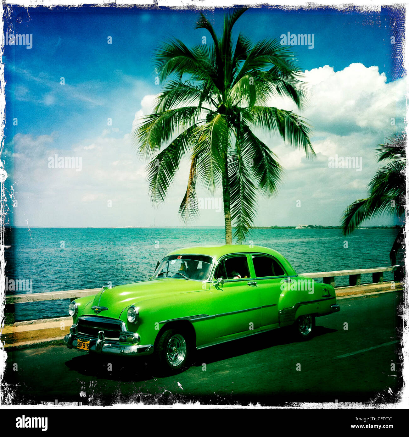 Bright green classic American car parqué par un palmier avec l'océan derrière, Punta Gorda, Cienfuegos, Cuba, Antilles Banque D'Images