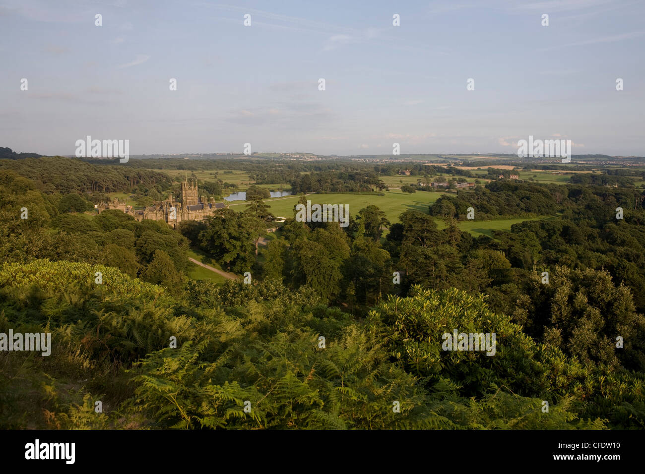 Château dans les bois vu de Capel Mair, Margam Country Park, Port Talbot, West Glamorgan, Pays de Galles, Royaume-Uni, Europe Banque D'Images