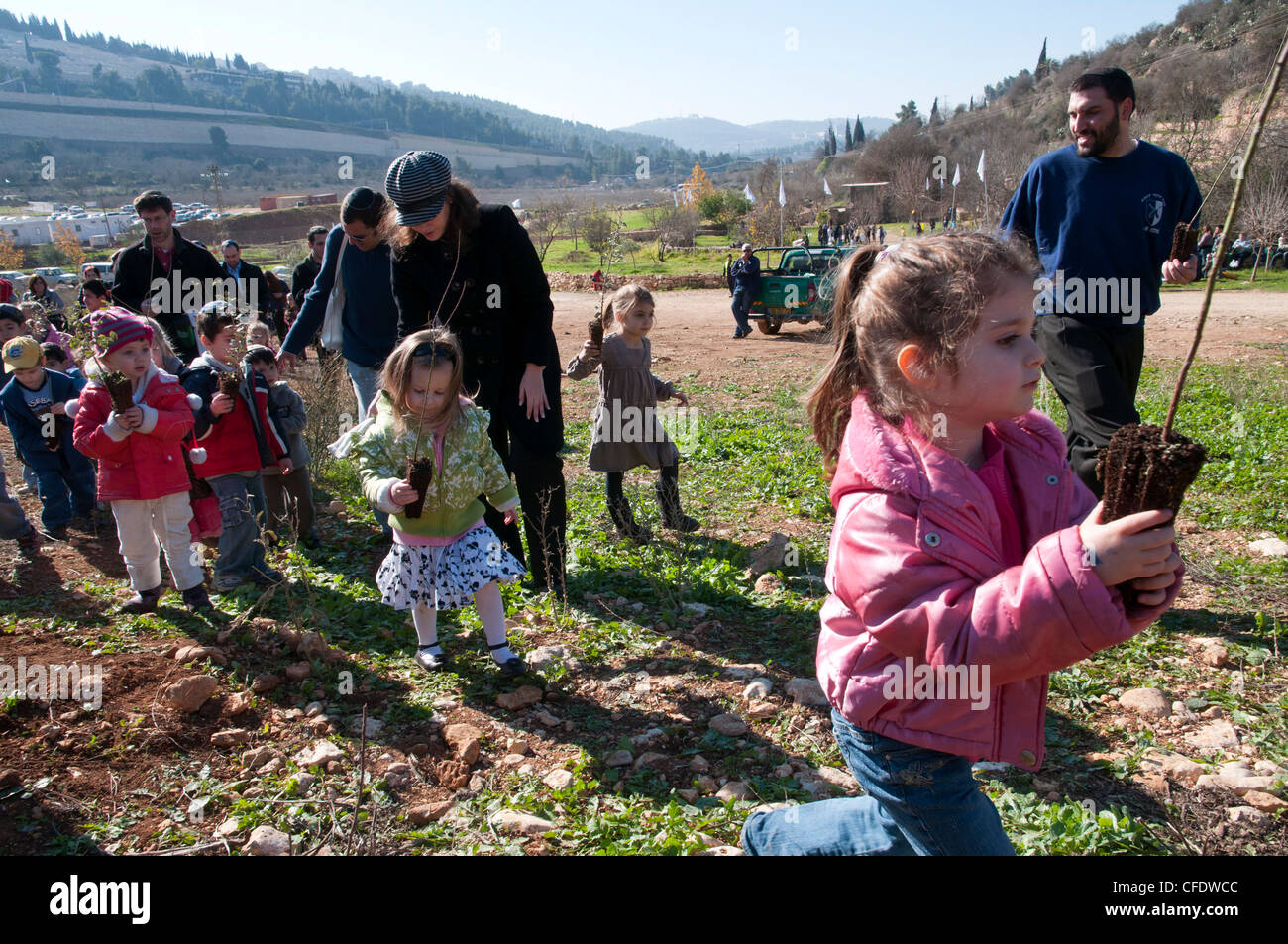 Tu Beshvat festival juif, la plantation d'événement organisé par le KKL dans un parc de Jérusalem, Jérusalem, Israël, Moyen Orient Banque D'Images