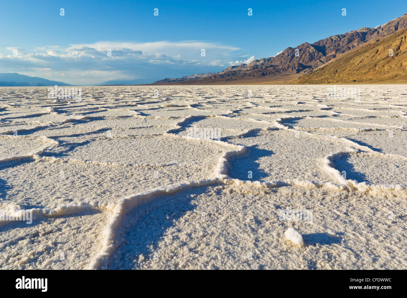 Les polygones de sel du bassin de Badwater à pan, Death Valley National Park, California, USA Banque D'Images