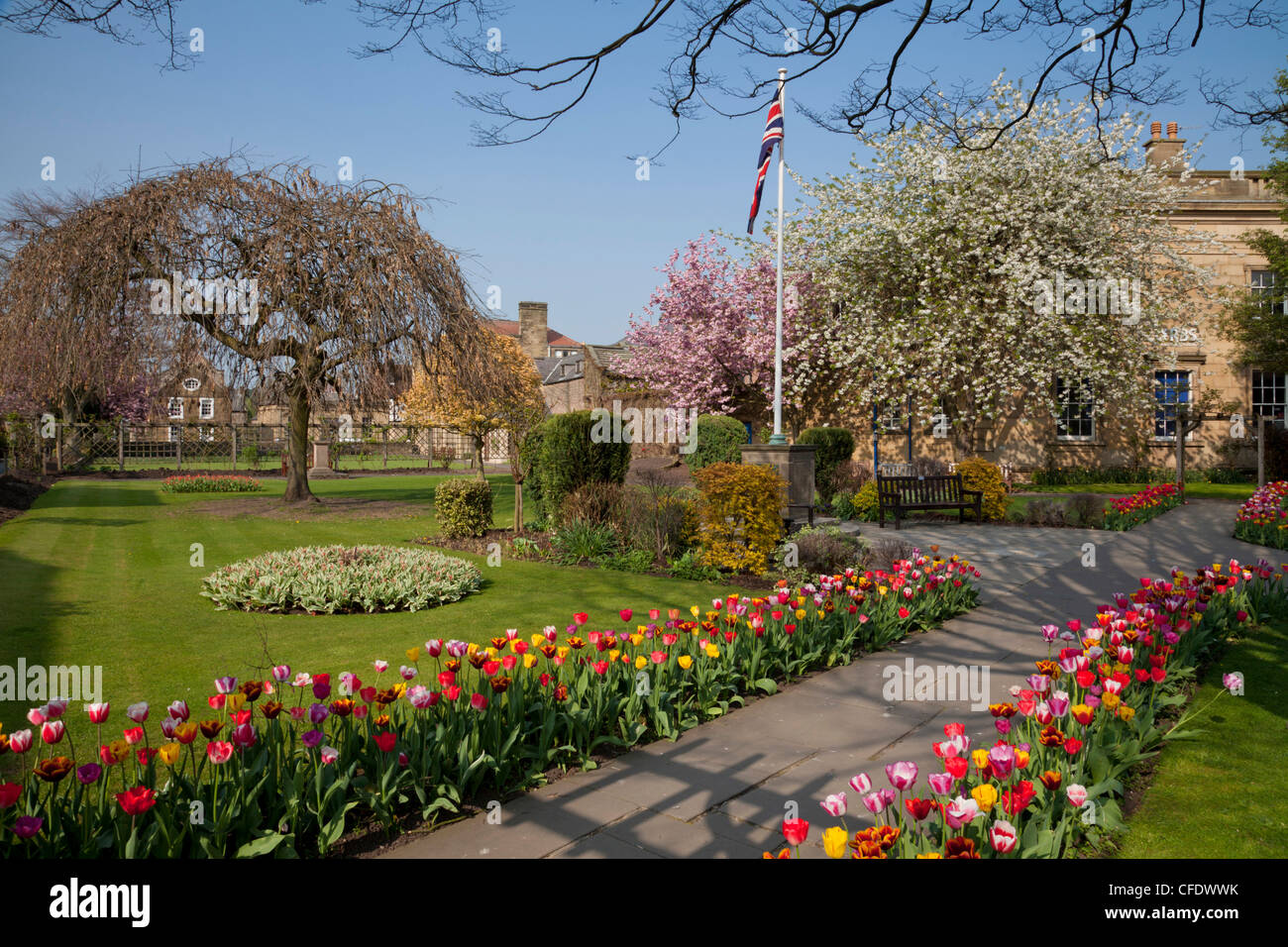 Masses de tulipes au printemps coloré dans la baignoire , Jardins, Bakewell, Derbyshire Peak District National Park, Angleterre, RU Banque D'Images