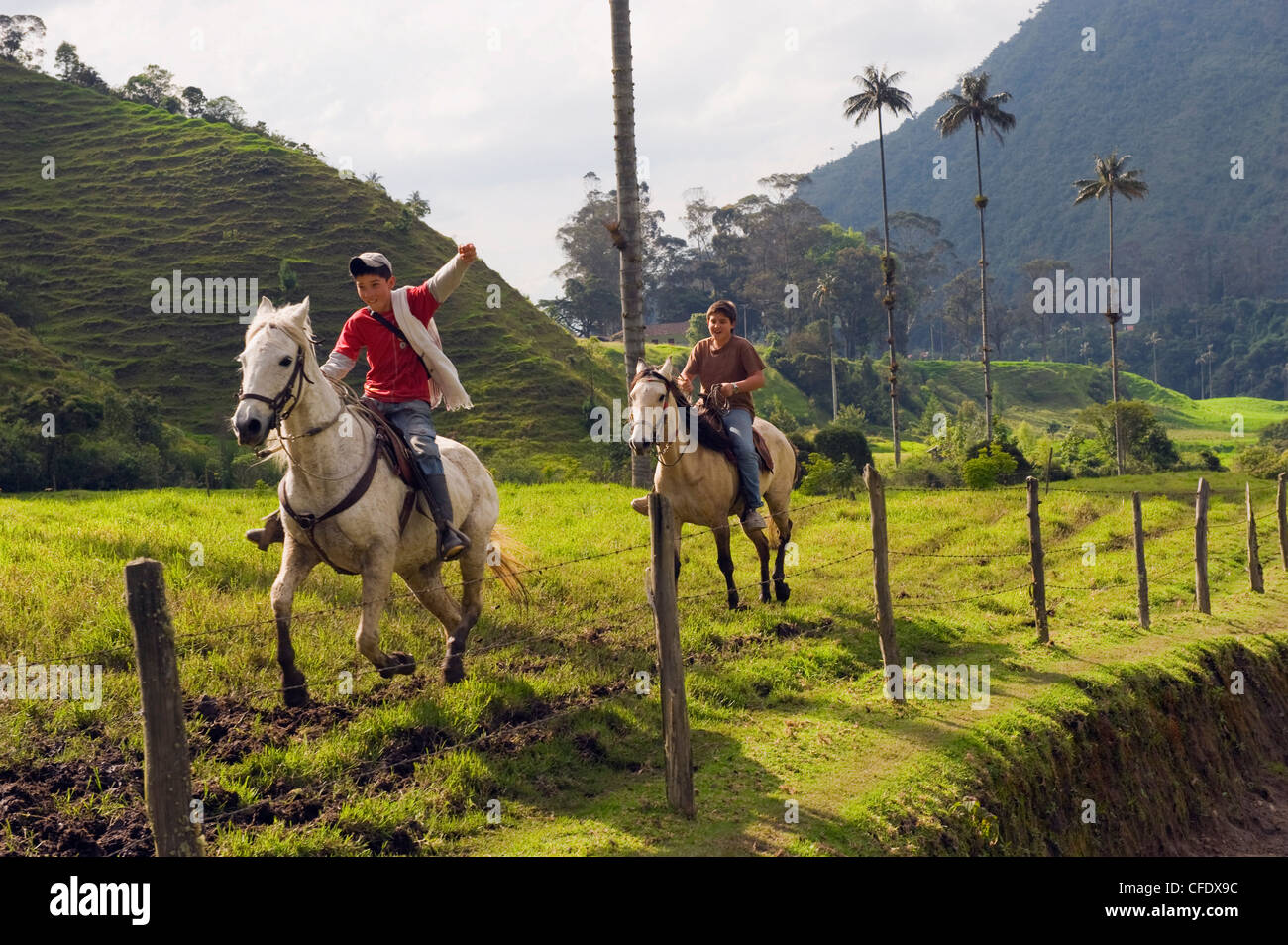 Les garçons l'équitation dans la vallée de Cocora, Salento, Colombie, Amérique du Sud Banque D'Images
