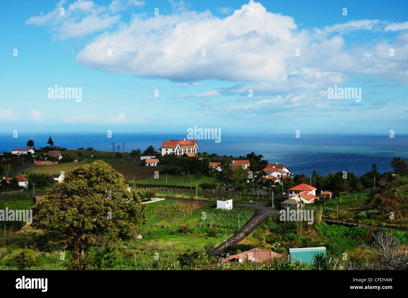 Santana, Madeira, Portugal, l'océan Atlantique, l'Europe Banque D'Images