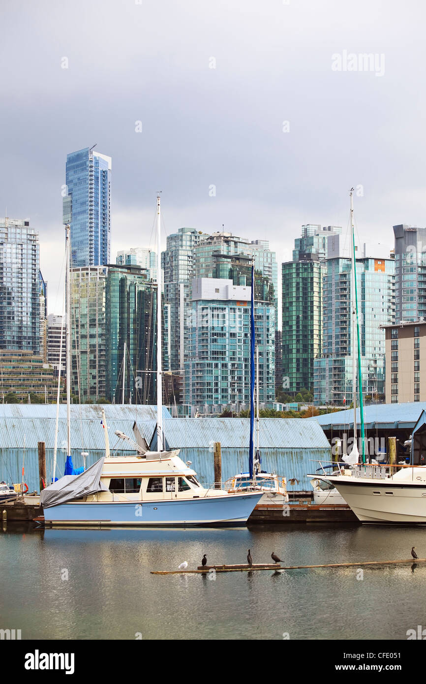 Vue sur le centre-ville de condominiums de Coal Harbour, Vancouver, Colombie-Britannique, Canada. Banque D'Images