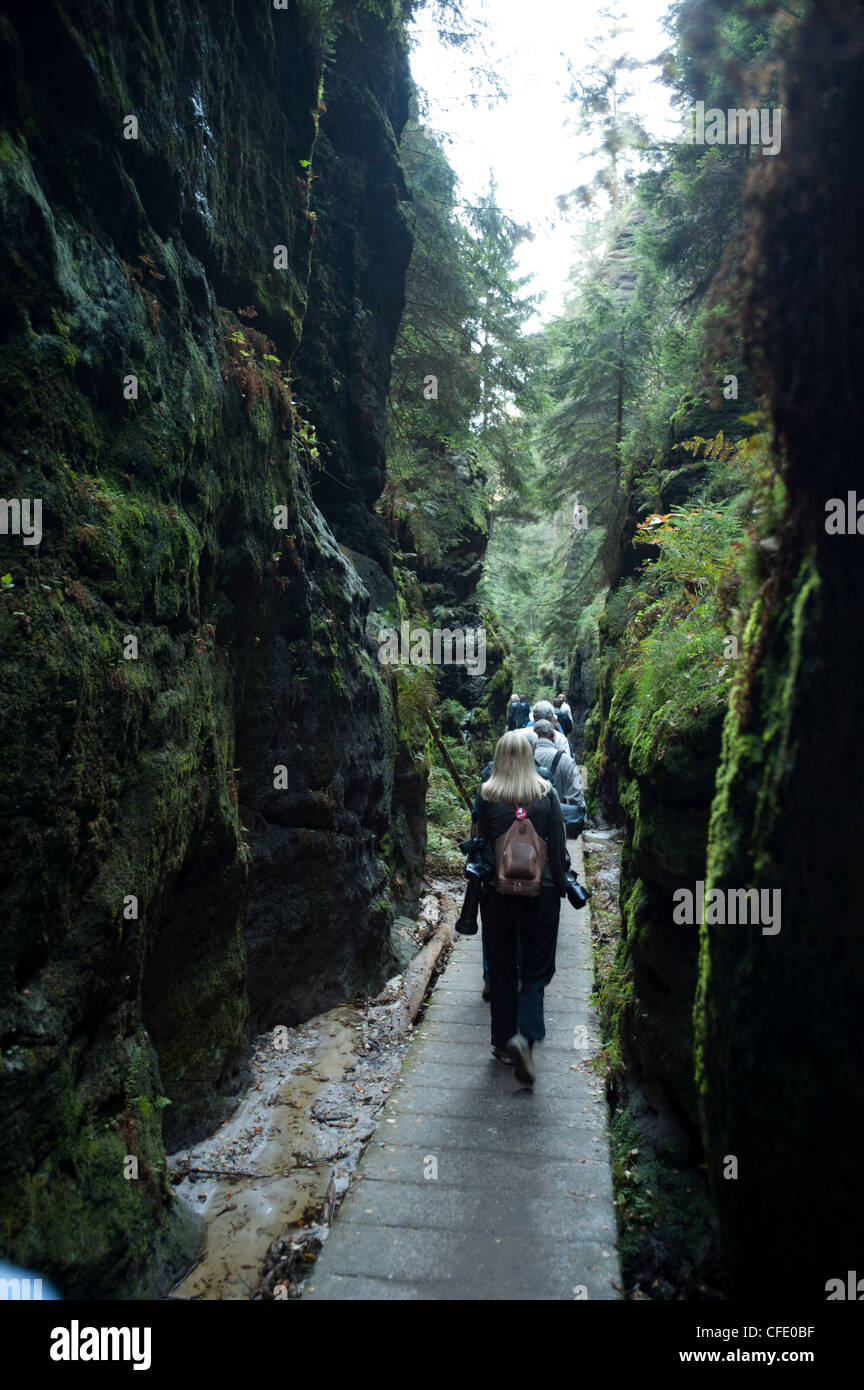Saxon-Switzerland National Park, Saxe, Allemagne, Europe Banque D'Images