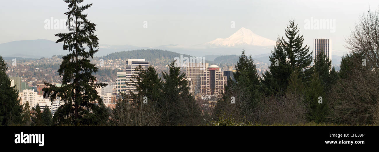 Le centre-ville de l'Oregon Portland Cityscape parmi les arbres avec Panorama Mount Hood Banque D'Images