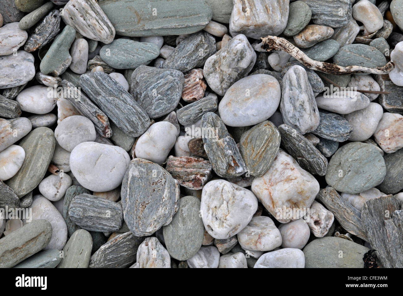 Galets sur la plage. prawle, Devon, Angleterre Banque D'Images