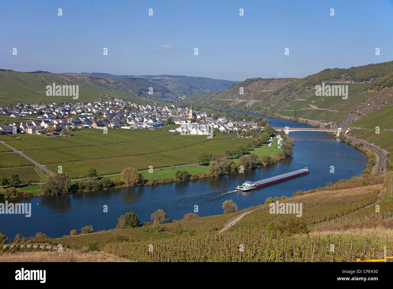 Moselle un le village viticole Trittenheim, Rhénanie-Palatinat, Allemagne, Europe Banque D'Images