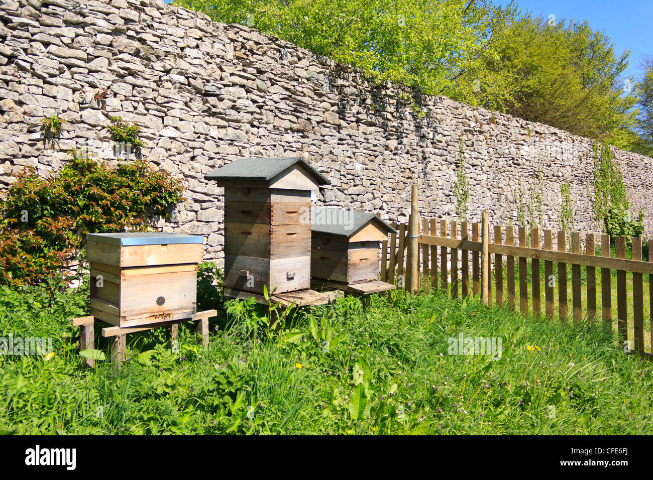 Une ferme avec du miel des ruches dans la campagne anglaise. Banque D'Images