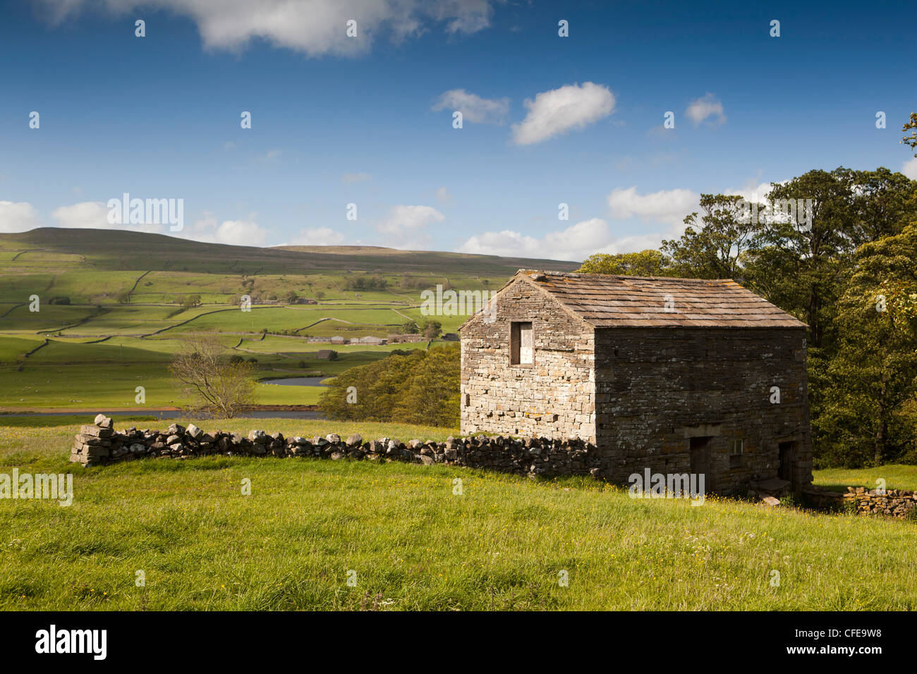 Royaume-uni, Angleterre, dans le Yorkshire Dales, Wensleydale, domaine traditionnel en pierre grange dans les terres agricoles Banque D'Images