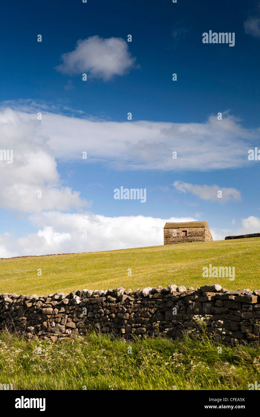 Royaume-uni, Angleterre, dans le Yorkshire, Wensleydale, grange en pierre sur terrain crête au-dessus des pâturages agricoles Banque D'Images