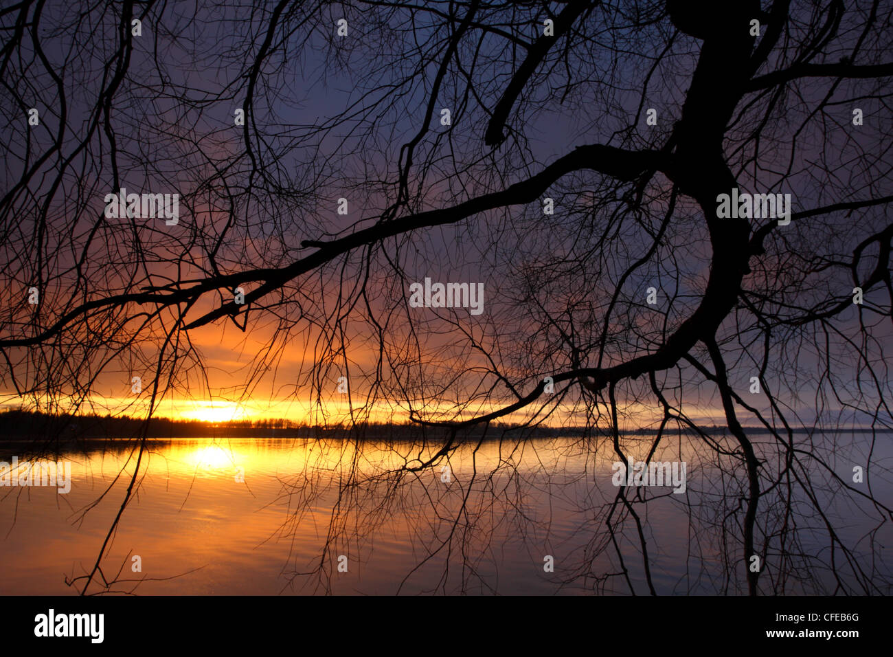 Saadjärv Lac au coucher du soleil. L'Estonie, Europe Banque D'Images