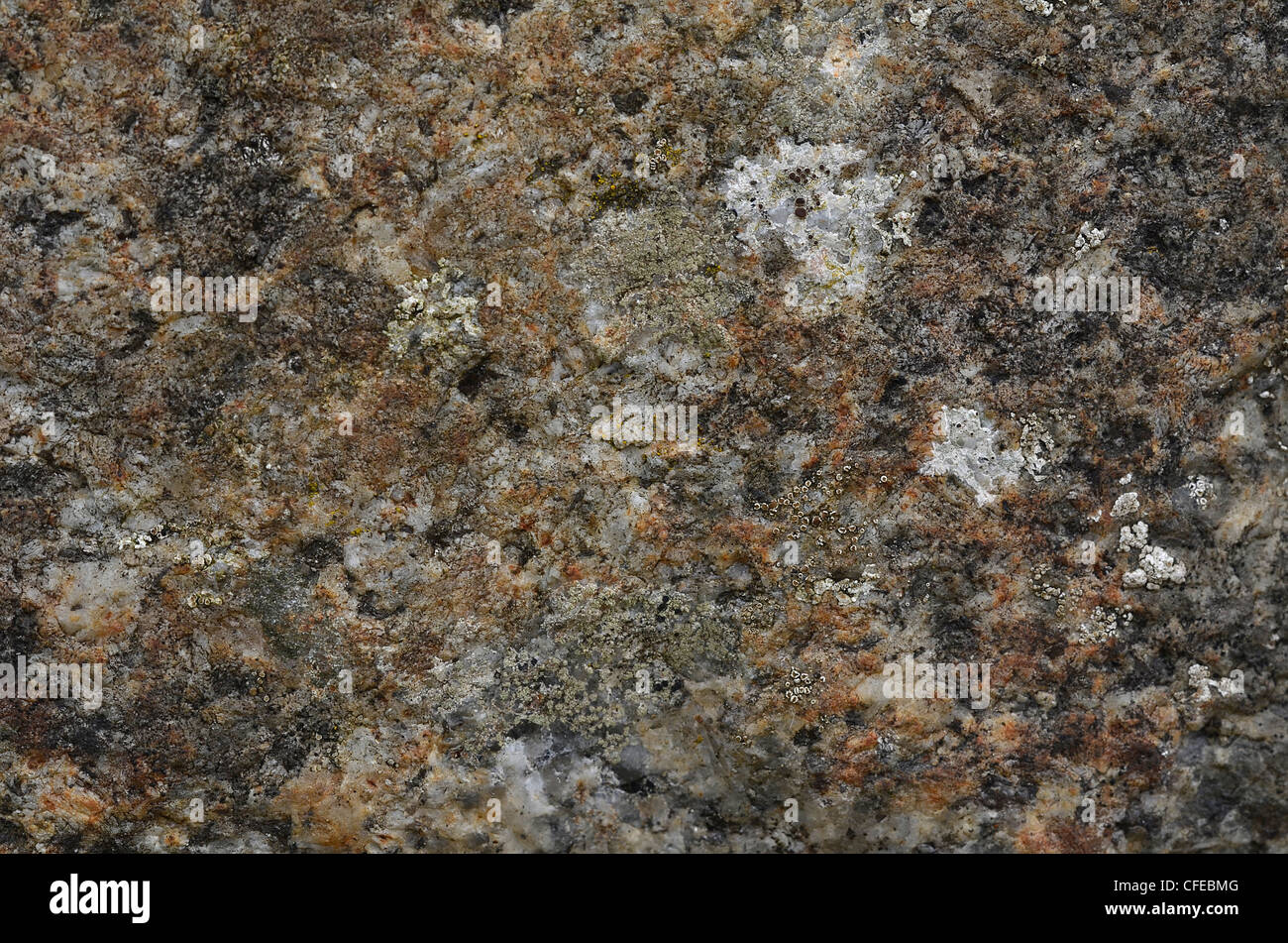 Close-up of habillé en pierre de granit avec apparition de lichen se former. Banque D'Images