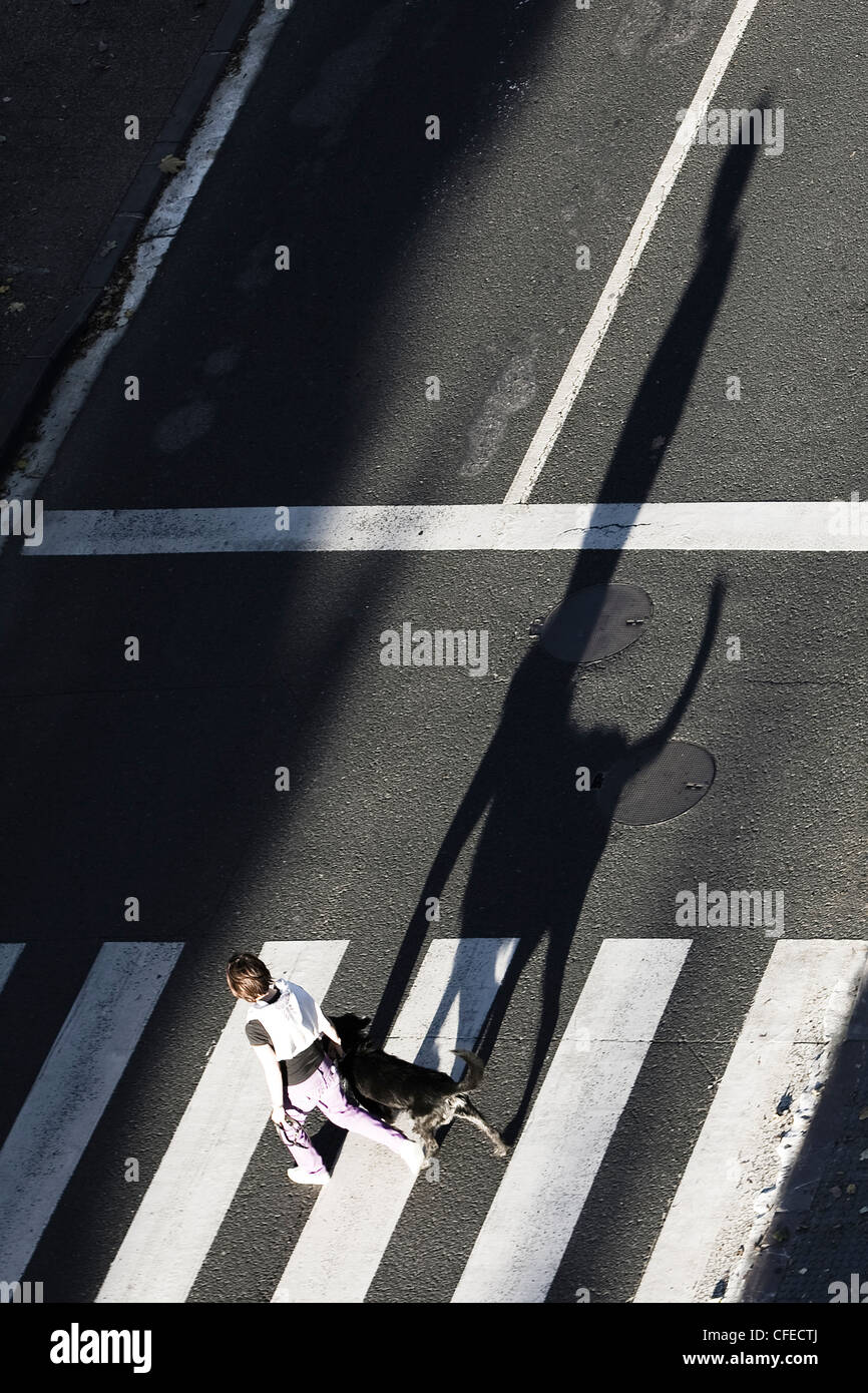 Femme et chien sur passage clouté avec long shadow Banque D'Images