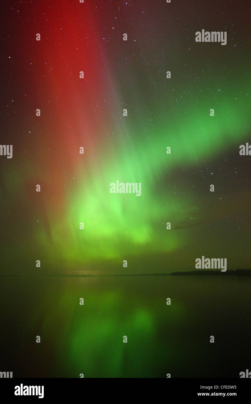 Northern Lights (aurores boréales) vu au-dessus du lac Saadjärv. L'Europe, l'Estonie Banque D'Images