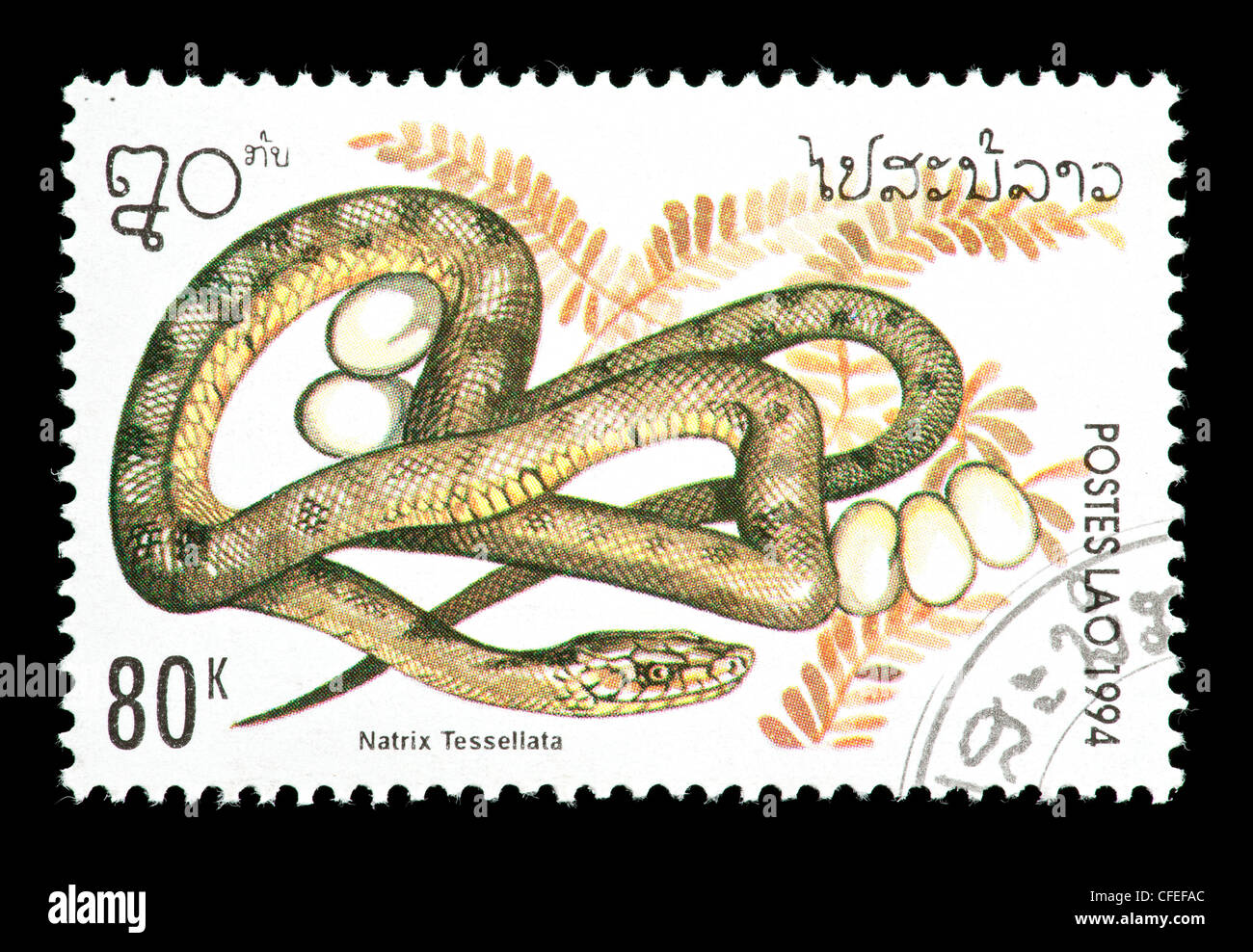 Timbre-poste du Laos représentant un serpent (Natrix tessellata dés) Banque D'Images
