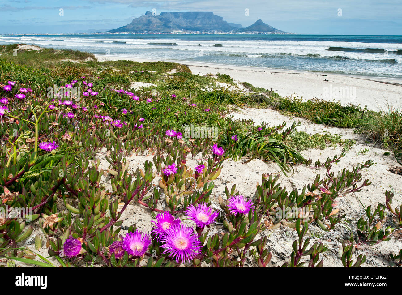 Cape Town et Table Mountain depuis Blouberg Banque D'Images