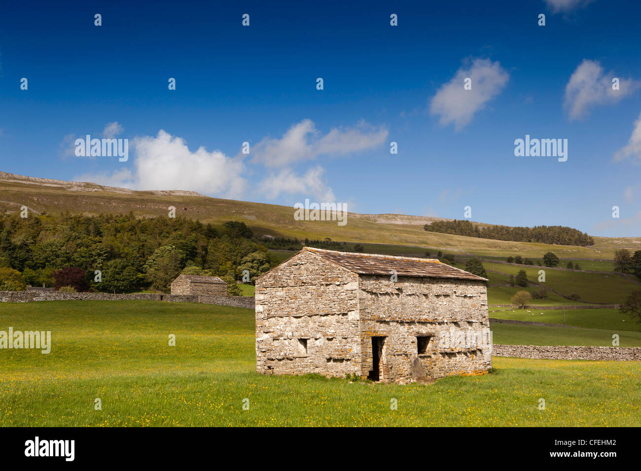 Royaume-uni, Angleterre, dans le Yorkshire, Wensleydale, Askrigg, grange en pierre dans le champ ci-dessous pré cicatrice bleu Banque D'Images