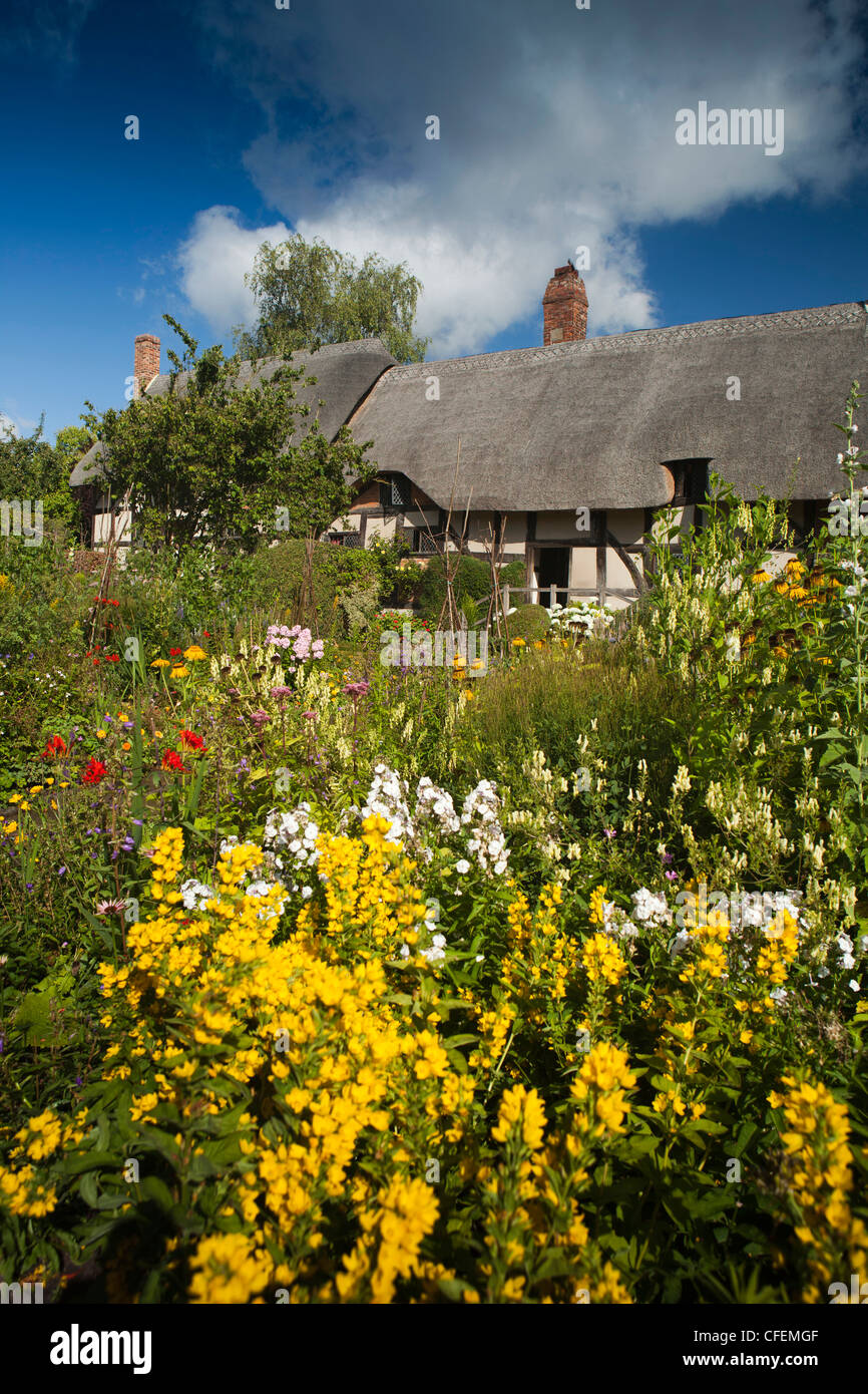 Le Warwickshire, Stratford sur Avon, Shottery, Anne Hathaway's Cottage, dans le jardin floral sunshine Banque D'Images