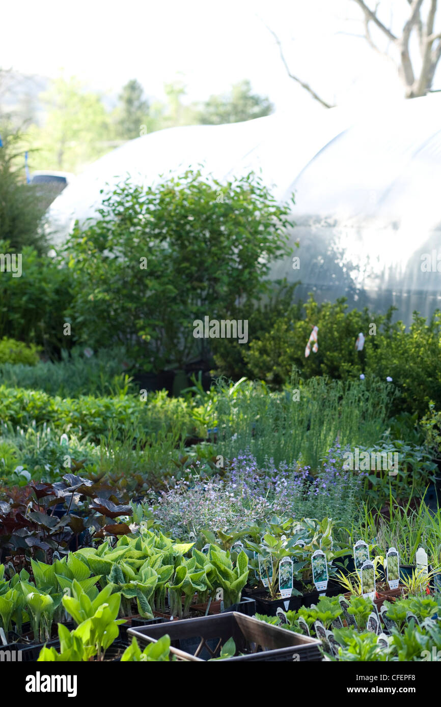 Berkshire Botanical Garden à Stockbridge, Massachusetts affiche hors d'une serre. Banque D'Images