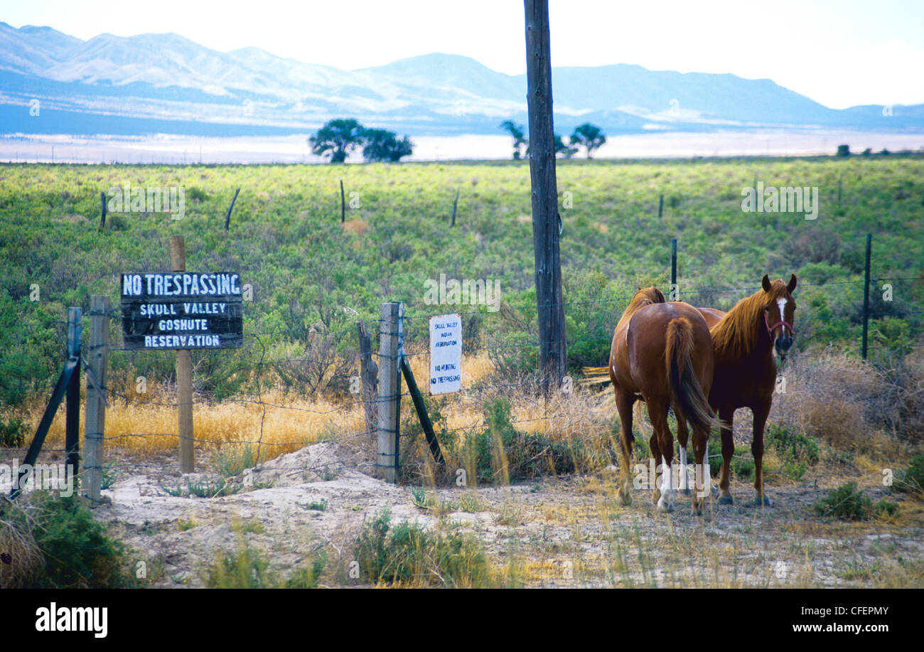 Deux chevaux se tenir près d'un signe pour Gasthute- Réservation Vallée du crâne -Utha USA Banque D'Images