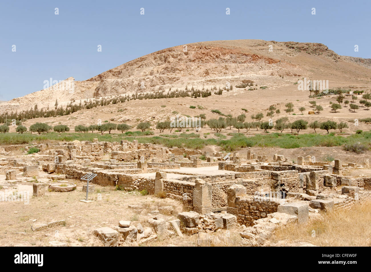 Bulla Regia. La Tunisie. Vue de la demeure au-dessus du sol de la villa romaine connue sous le nom de la maison d'Amphitrite. Le point culminant de Banque D'Images