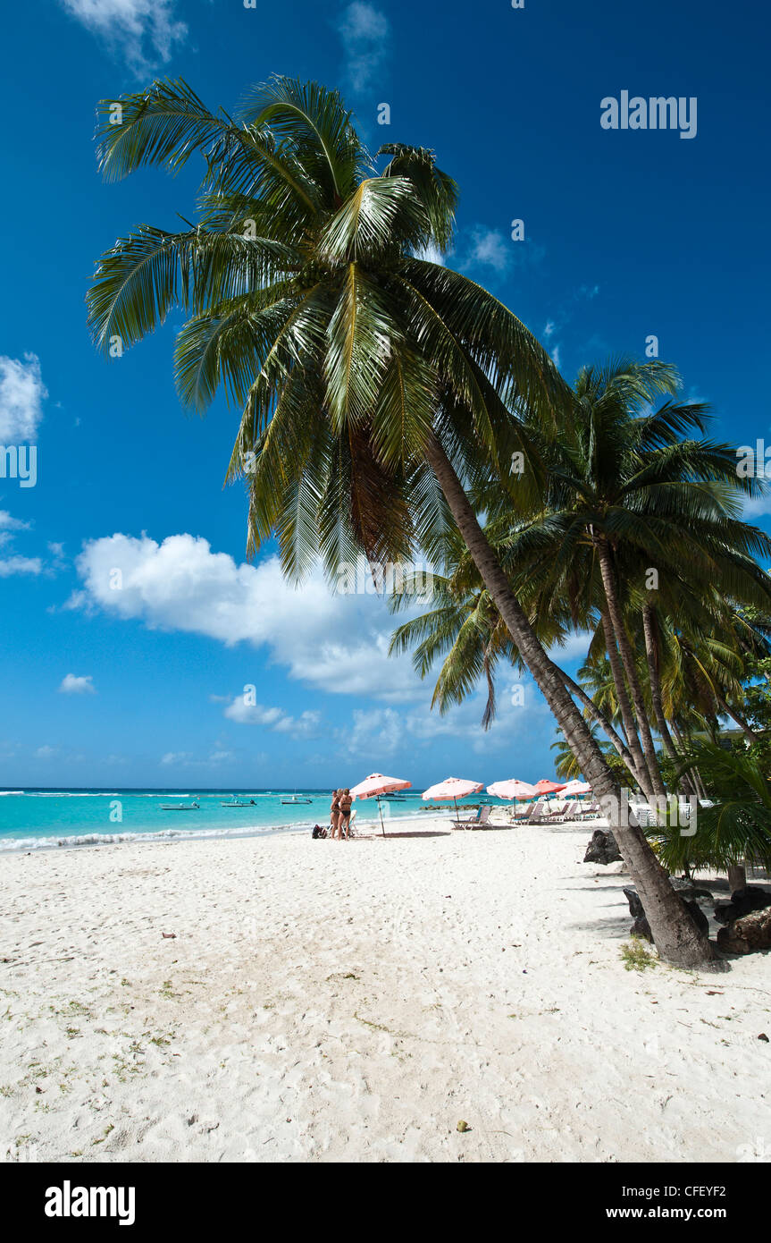 Carib Beach, Barbade, îles du Vent, Antilles, Caraïbes, Amérique Centrale Banque D'Images