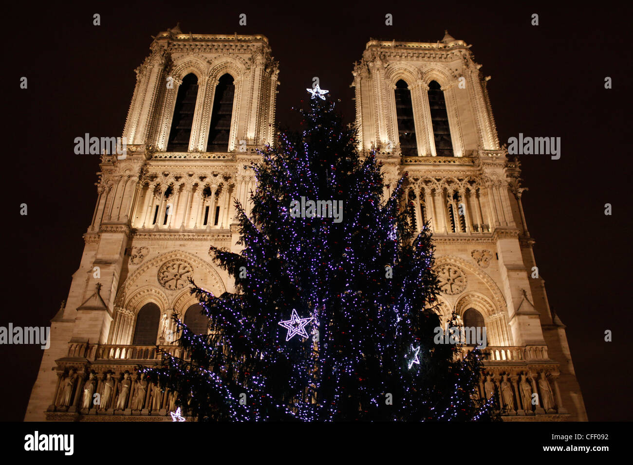 Arbre de Noël à l'extérieur de la cathédrale Notre-Dame de Paris, Paris, France, Europe Banque D'Images